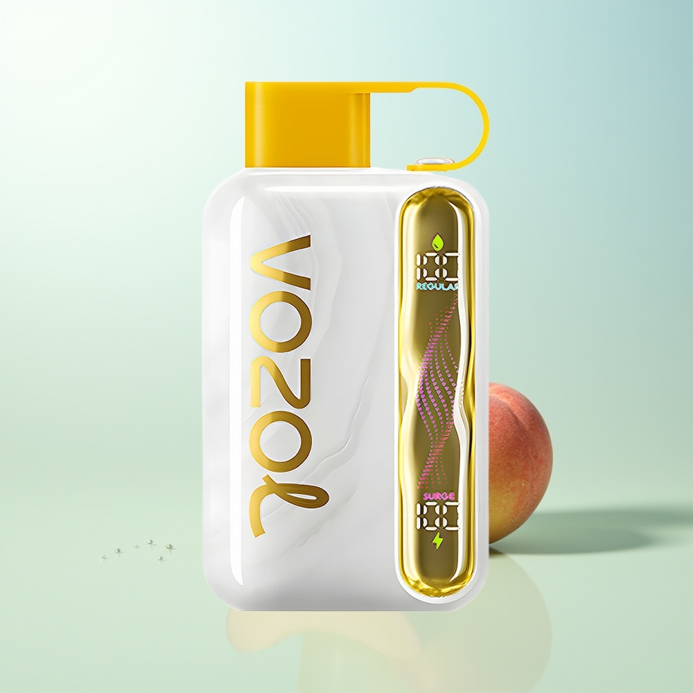 VOZOL STAR 40000 Puffs Vape Mango Melocotón 1000mAh Tipo-C 20/50mg/ml