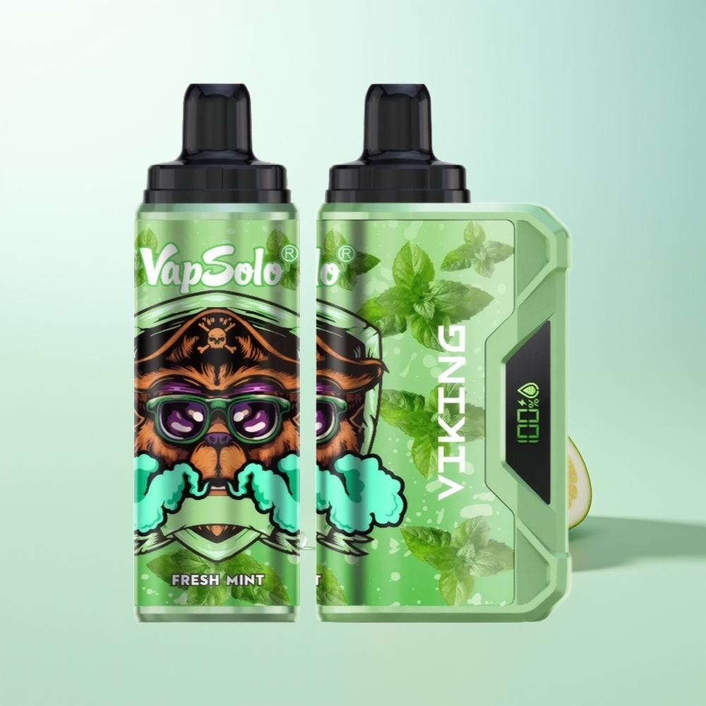VapSolo VIKING 12000 Puffs Vape Menta Fresca Tipo-C Pantalla LED 22ml